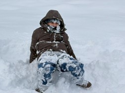 Picture8